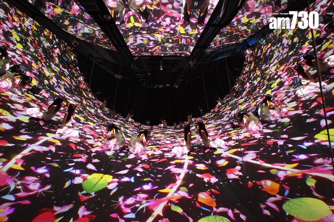 花朵小徑 FLOWER PATH